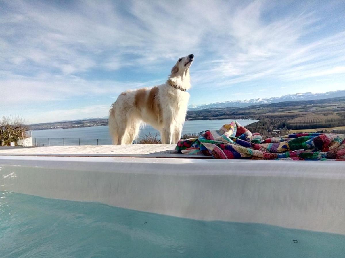 Bed and Breakfast Swiss Borzoi House Vully-les-Lacs Exterior foto
