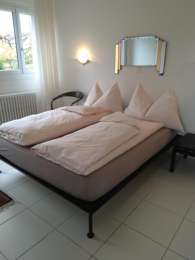 Bed and Breakfast Swiss Borzoi House Vully-les-Lacs Exterior foto