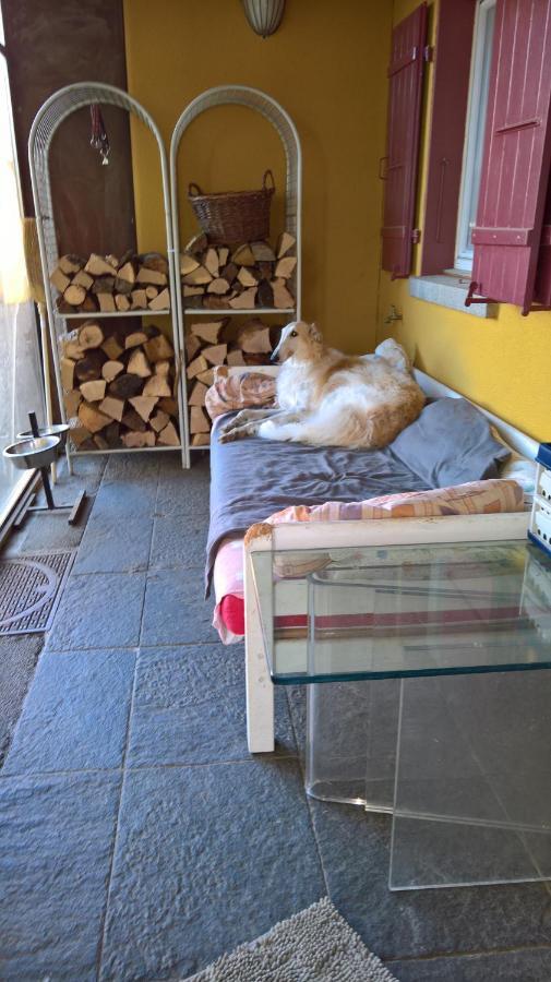 Bed and Breakfast Swiss Borzoi House Vully-les-Lacs Exterior foto