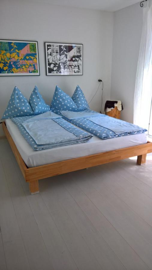 Bed and Breakfast Swiss Borzoi House Vully-les-Lacs Exterior foto