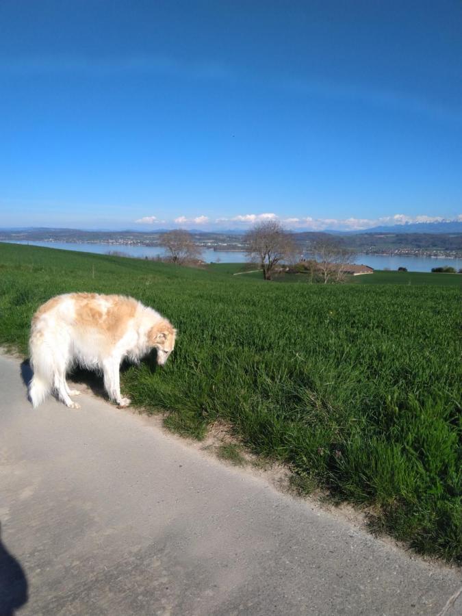 Bed and Breakfast Swiss Borzoi House Vully-les-Lacs Exterior foto