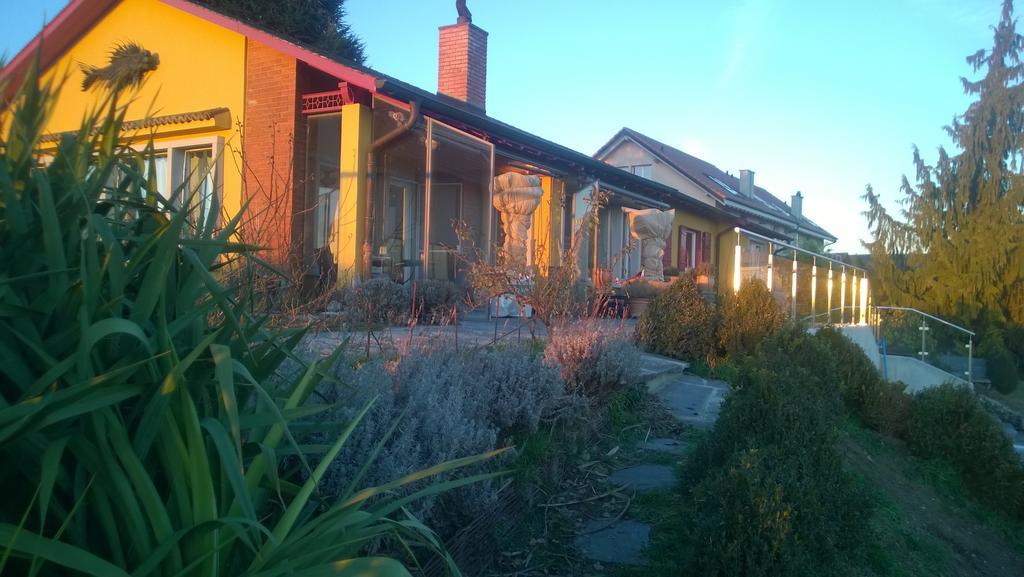 Bed and Breakfast Swiss Borzoi House Vully-les-Lacs Zimmer foto