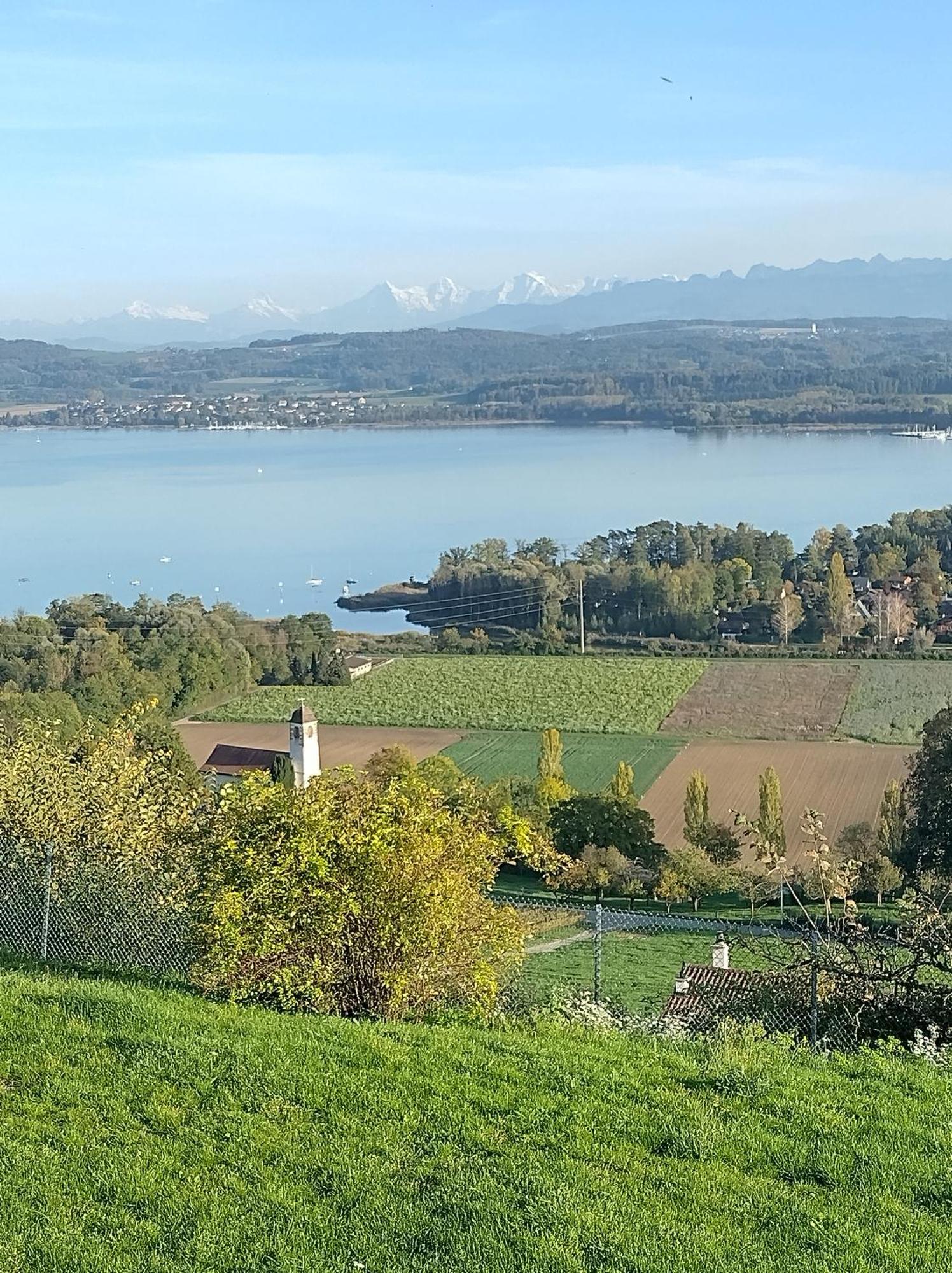 Bed and Breakfast Swiss Borzoi House Vully-les-Lacs Exterior foto