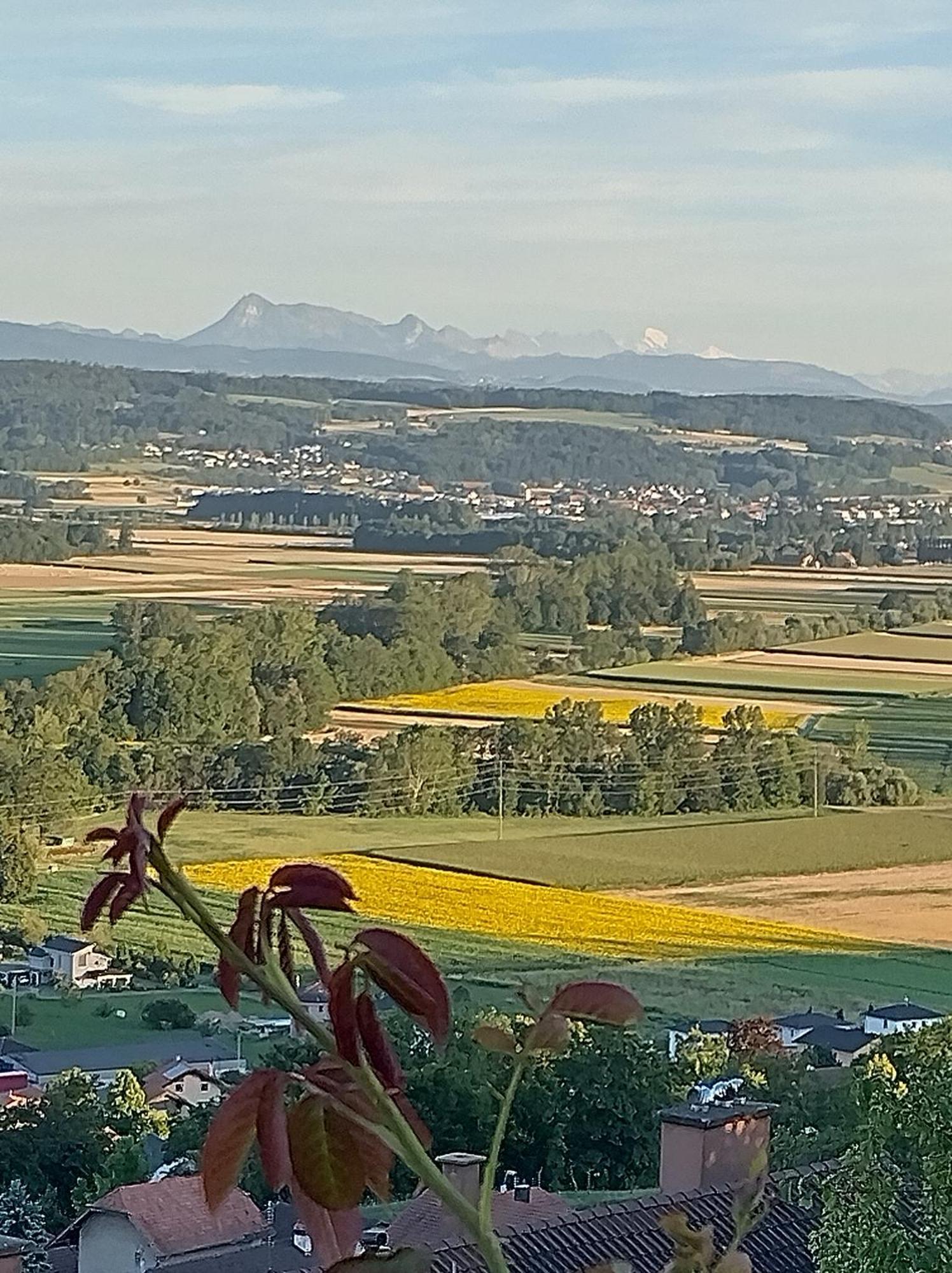 Bed and Breakfast Swiss Borzoi House Vully-les-Lacs Exterior foto