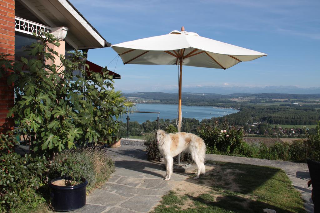 Bed and Breakfast Swiss Borzoi House Vully-les-Lacs Zimmer foto