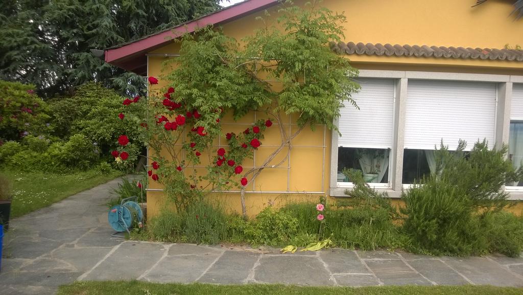 Bed and Breakfast Swiss Borzoi House Vully-les-Lacs Exterior foto