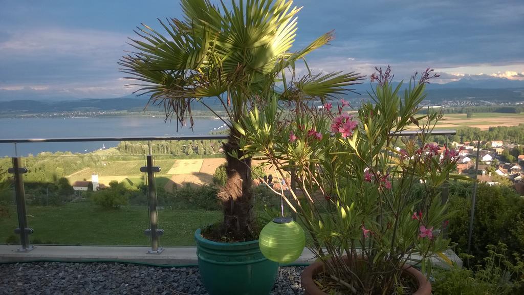 Bed and Breakfast Swiss Borzoi House Vully-les-Lacs Exterior foto