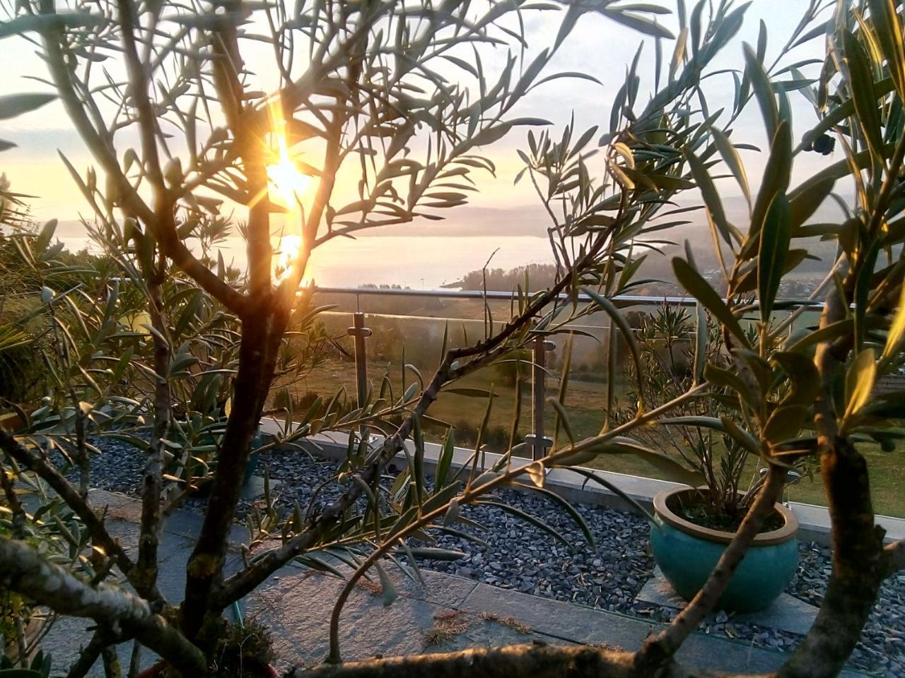 Bed and Breakfast Swiss Borzoi House Vully-les-Lacs Exterior foto