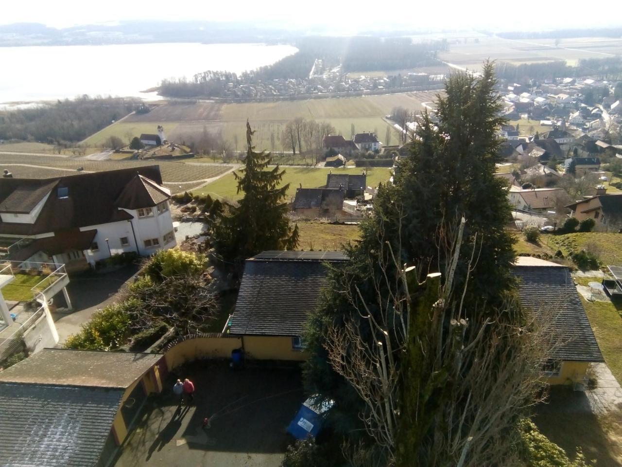 Bed and Breakfast Swiss Borzoi House Vully-les-Lacs Exterior foto